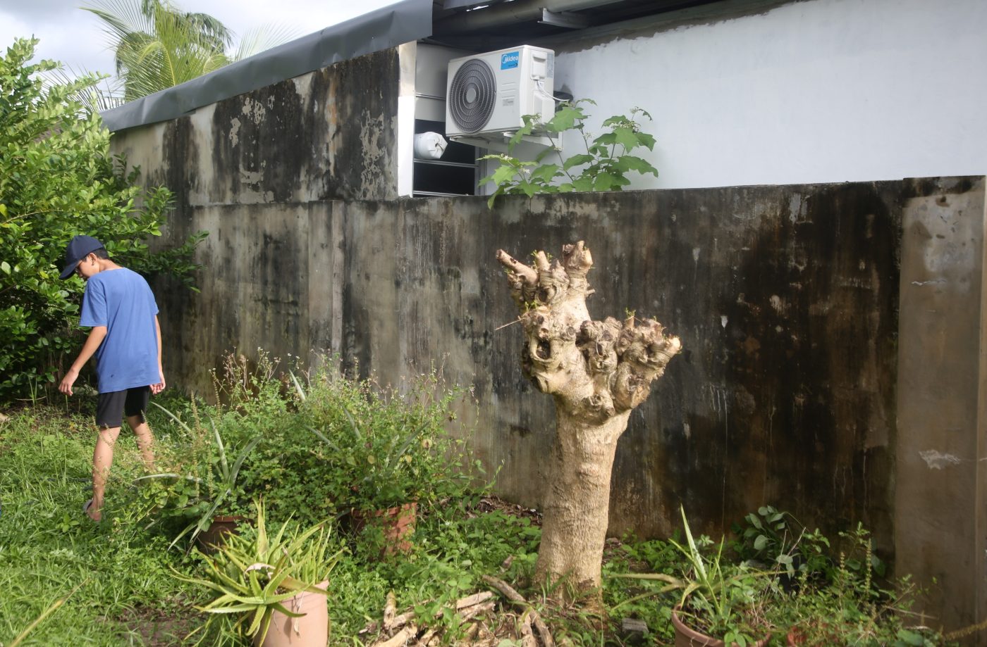 Wall Washing
